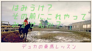 【乗馬】ハミ受けについてうまくいかない理由と効果的な練習を庶民派動画にしてみた【馬ブログ】