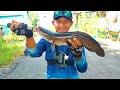 REJEKI NOMPLOK..!! MANCING GABUS BABON DI SPOT UNIK KALIMANTAN || CASTING GABUS