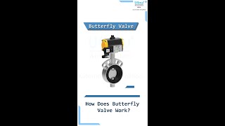 How Does A Butterfly Valve Work?