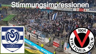MSV Duisburg : Viktoria Köln 1:1 Impressionen 22.10.2022