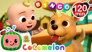 Bingo Is His Name-O! 🐶 | 2 HOURS OF COCOMELON | Animals for Kids | Sing Along Songs for Kids