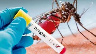 Dengue fever outbreak in Puerto Rico creates public health emergency