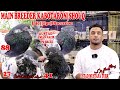 Ustad Mustafa Turk|Main Breeder Kabotaron|SHOUQ|Pigeons Informative Videos @AJMANPIGEONCLUB|info