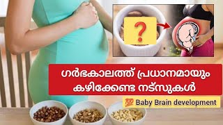 ഗർഭിണികൾ പ്രധാനമായും കഴിക്കേണ്ട മൂന്ന് നട്ട്സുകൾ 💯🤰|| FJ Creation Pregnancy Malayalam || Subscribe👍