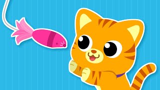 My Sister Coco ♬ | Lovely Kitten 🥰😻| Cat Animal Song | Nursery Rhymes for Kids★ TidiKids