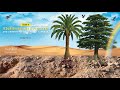 CHIREDZI LIVE SERVICE 07/06/2026