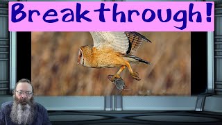 Recruiting Raptors for Rodent Control!