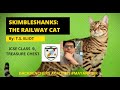 SKIMBLESHANKS:THE RAILWAY CAT|T.S.ELIOT|BACKBENCHERS ACADEMY|LINE BY LINE EXPLANATION IN HINDI|