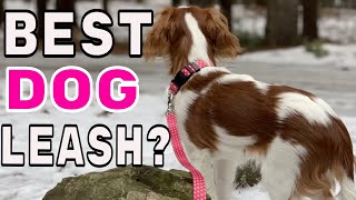 Best Dog Collar & Leash?:  Mighty Paw Pet Gear Review