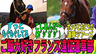 【競馬の反応集】「おどうとプボのフランス遠征組道草部」に対する視聴者の反応集