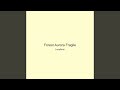 Forest Aurora Fragile