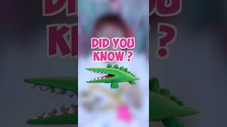 Big Challenges' BIG SECRET !! Did you know? Hello Kitty Island Adventure