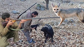 Atabek's attempt to save the baby goat: Shahin's joy at finding the baby goat