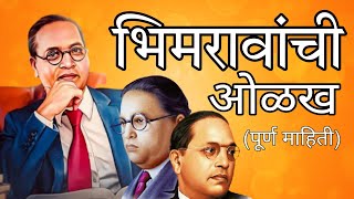 भिमरावांची ओळख ( पूर्ण माहिती ) Babashaheb Ambedkar All History | Ambedkar #viral #NILAWADAL