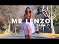 Mr Lenzo