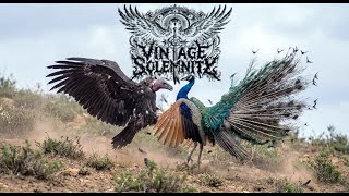 VINTAGE SOLEMNITY - Maniheist Manifesto II (official music video)