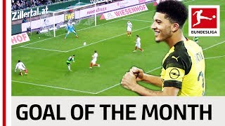 Top 10 Goals February - Vote for the Goal of the Month