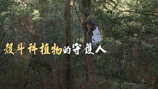 【山林保育】殼斗科植物的守護人｜攀樹採種延續山林生命力(我們的島 第1040集 2020-02-03)