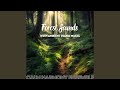 Quiet Waters (Forest Sounds)