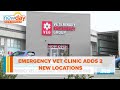 Emergency vet clinic adds 2 new locations - New Day NW