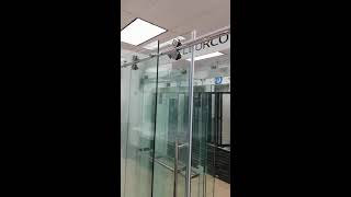Modern Frameless Glass Shower Door