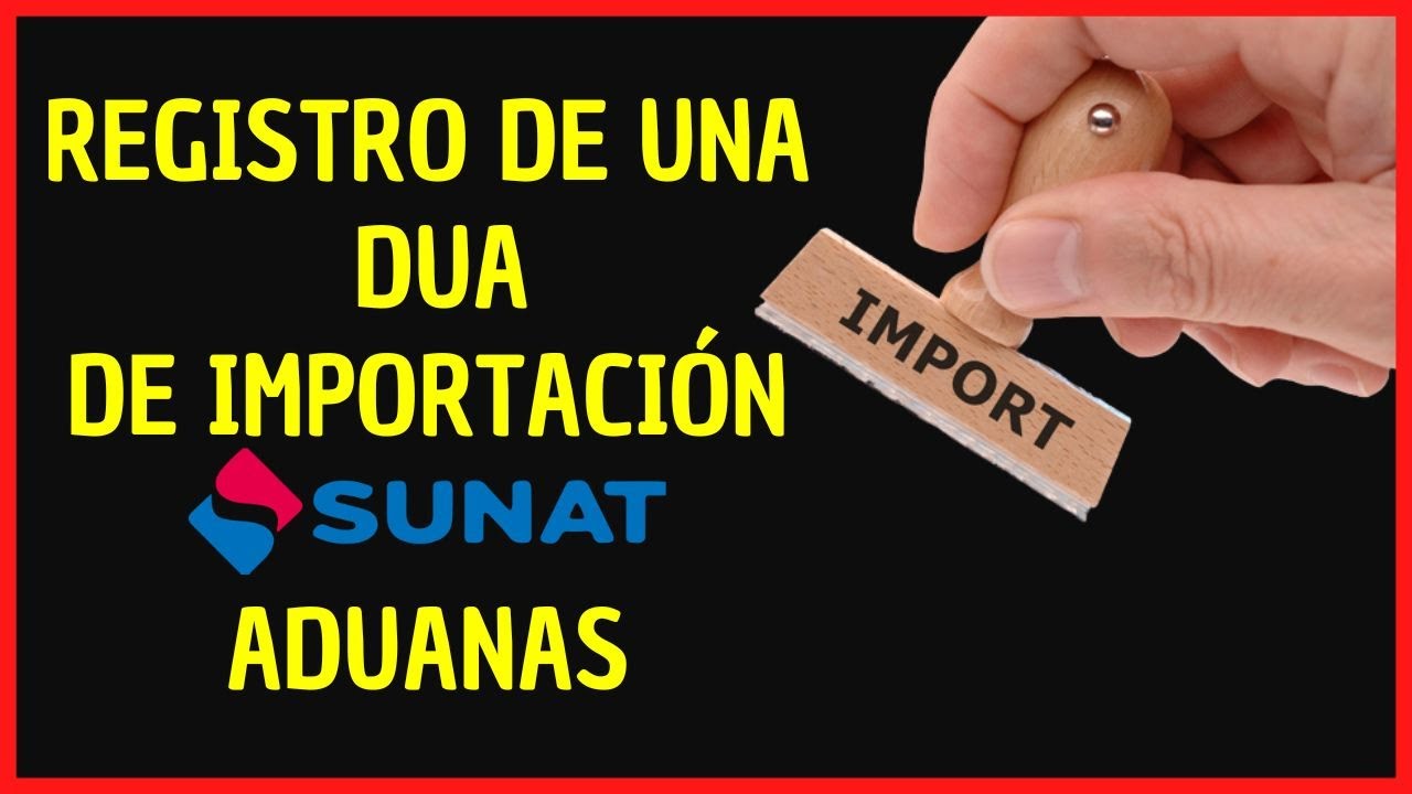 Como Rellenar Un Dua De Importacion