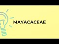 What is the meaning of the word MAYACACEAE?