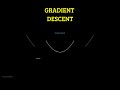 What is GRADIENT DESCENT?