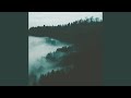 Shapes Of The First Time