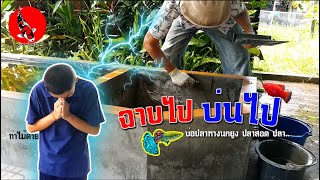 สอนฉาบบ่อปลา ผสมน้ำยากันซึม ฉาบไปบ่นไป l คุณพ่อคราฟ EP.30