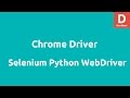 Python Selenium 2 WebDriver for Chrome