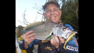 Mulloway/Jewfish & Flathead on ZMan Soft Plastics & Hard Body Lures. Action & Tips!