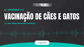 Vacinação de cães e gatos