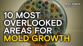 10 Most Overlooked Areas For Mold Growth