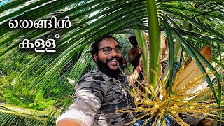 Coconut Tree Toddy Tapping | Toddy Tapping Full Process | Toddy Tapping Method In Kerala