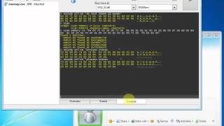 Frida Memory Hacking