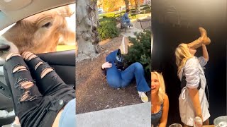 Drunk People will make you laugh | Instant Regret | Funny Fails Compilation | Pe