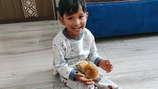 Funny and cute baby moments with chicken. Baby Reaction when playing with baby chicks.
