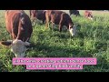 The beauty of regenerative farming