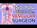 So You Want to Be a VASCULAR SURGEON [Ep. 49]