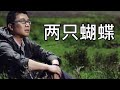 一曲难忘-两只蝴蝶