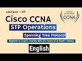 Spanning Tree Protocol - STP Operations explained in simple English | CCNA Networking | Lecture - 37