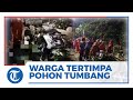 Melintas saat Hujan Deras, Seorang Wanita Tewas Tertimpa Pohon Tumbang di Pondok Indah