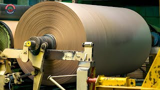 How Craft Paper Made in Factory | Cardboard Manufacturing Process