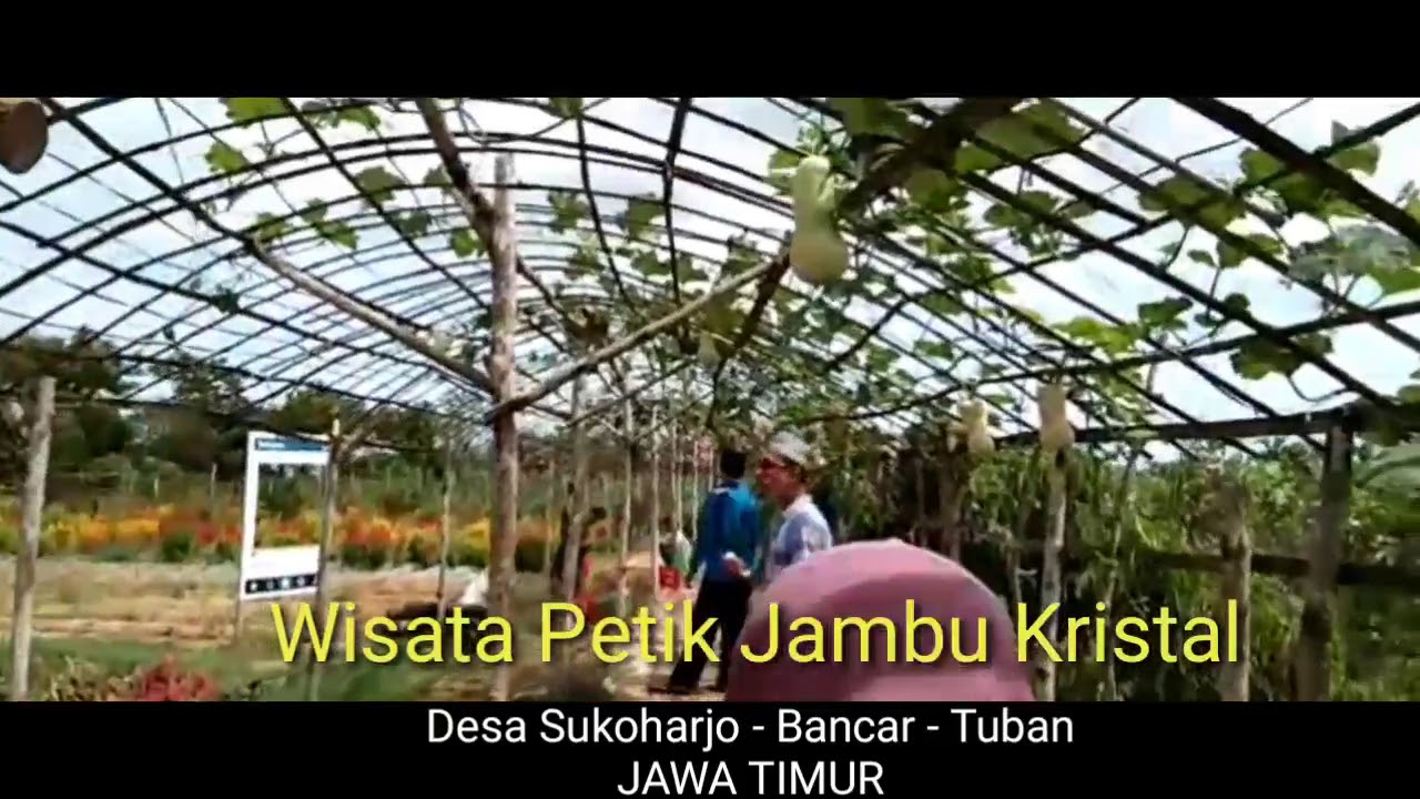 Destinasi Tempat Wisata Di Tuban Jawa Timur - YouTube