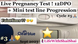 LIVE PREGNANCY TEST AT 12 DPO |CLEAR BLUE DIGITAL| + Mini Test Line Progression ! |Faint lines| |23|