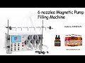 ZONESUN How to use 6 nozzles magnetic pump filling machine