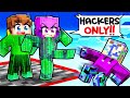 Locked on ONE CHUNK But We’re HACKERS!