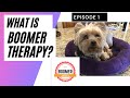 Okay Boomer?!  What does this mean to Baby Boomers? Episode 1