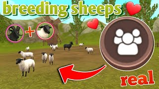 how to breed sheeps in wildcraft omg we can upgrade sheep team in vally of giants😮